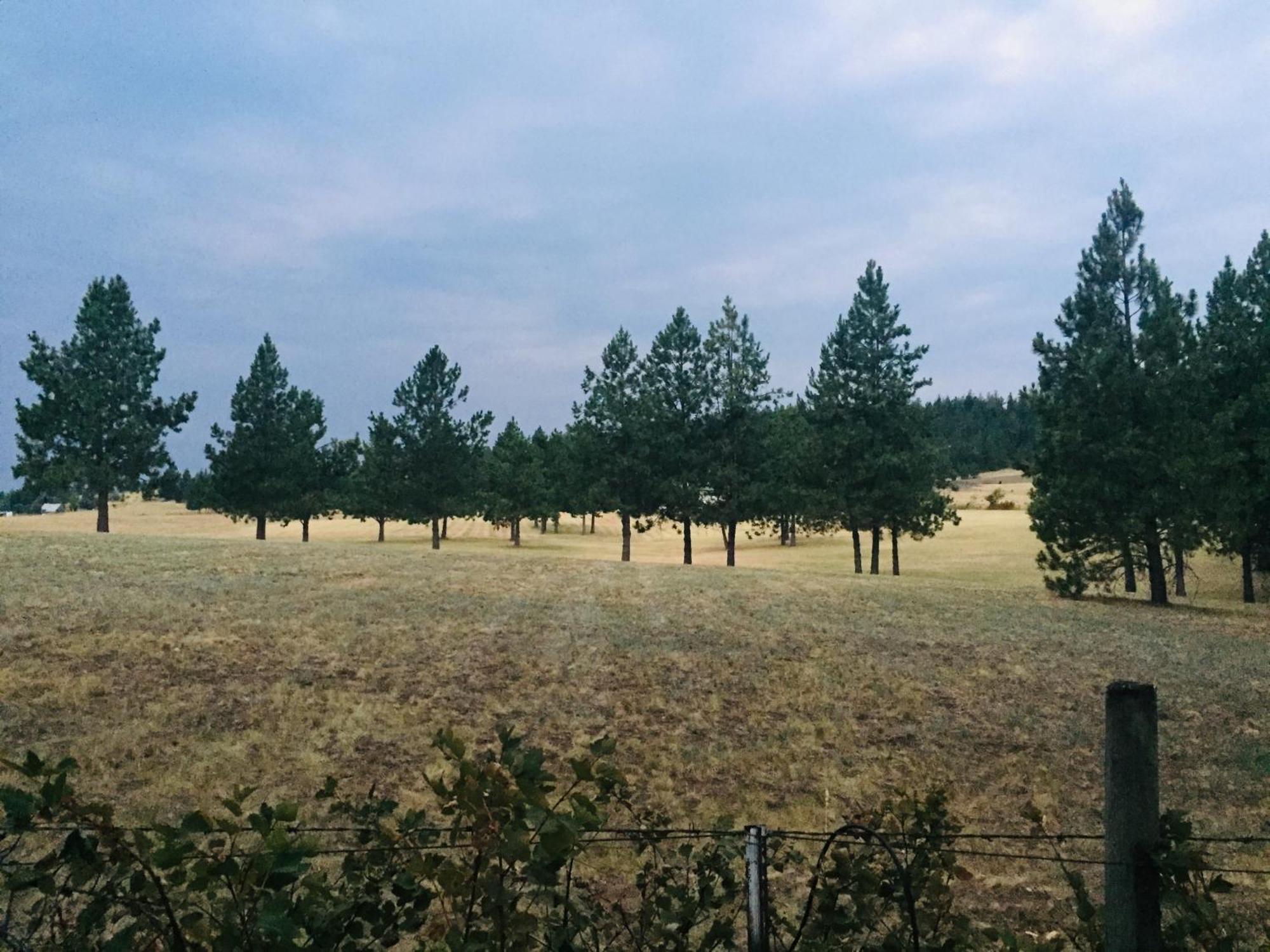 The Silverwood Lodge Athol Exteriör bild